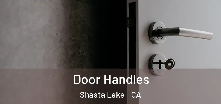  Door Handles Shasta Lake - CA