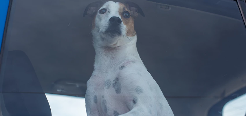 Car Lockout Solutions in Shasta Lake, California